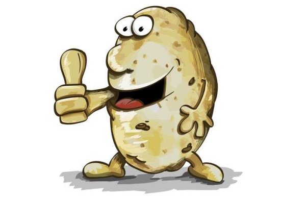 Crazy Potato