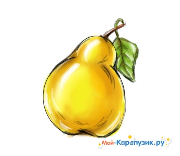 Груша рисунок