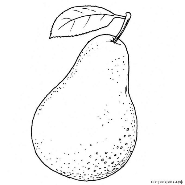 Груша раскраска