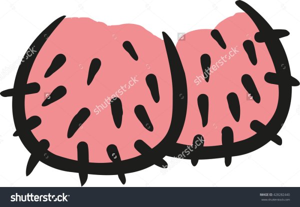 Нарисованный член