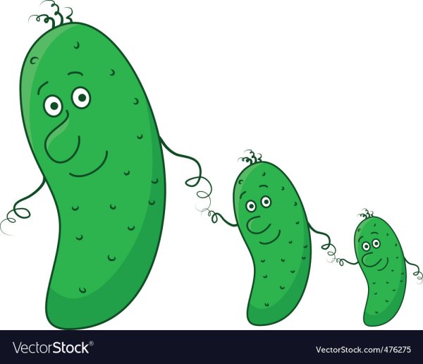 Огурцы разных размеров