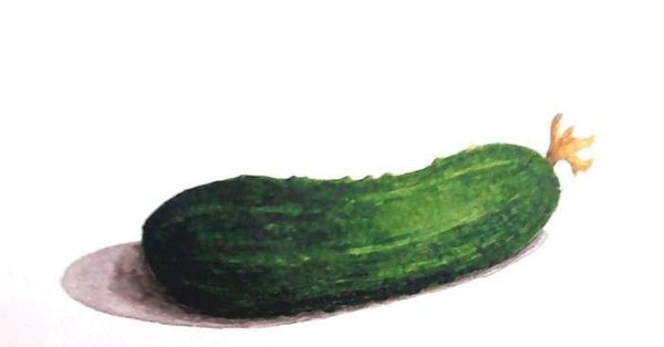 Огурец рисунок