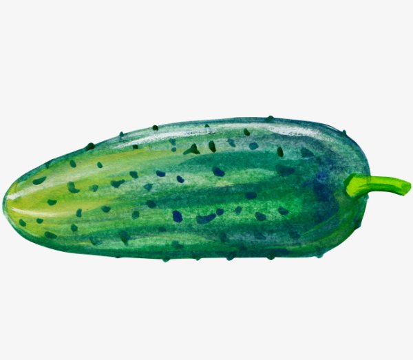 Огурец картинка для детей
