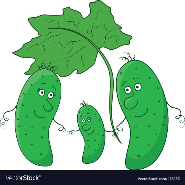 Огурец для 1 младшей группы