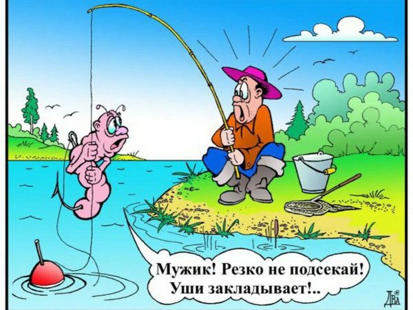 Приколы на рыбалке