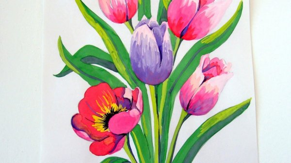 Тюльпаны рисунок