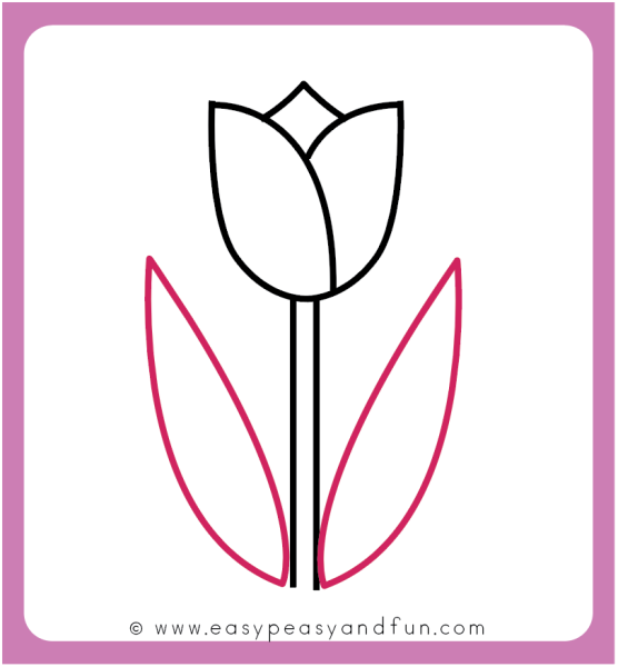 Тюльпаны рисунок