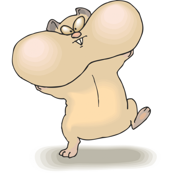 Надутые щеки хомяка