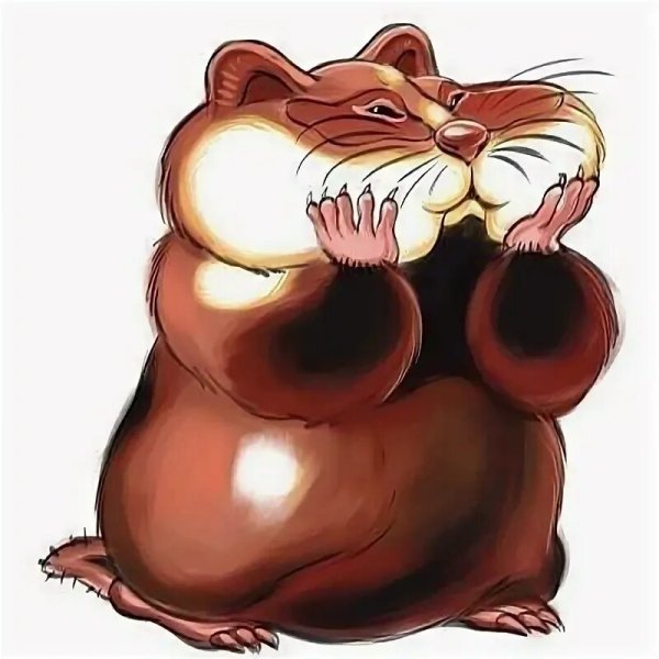Хомяк из мультика