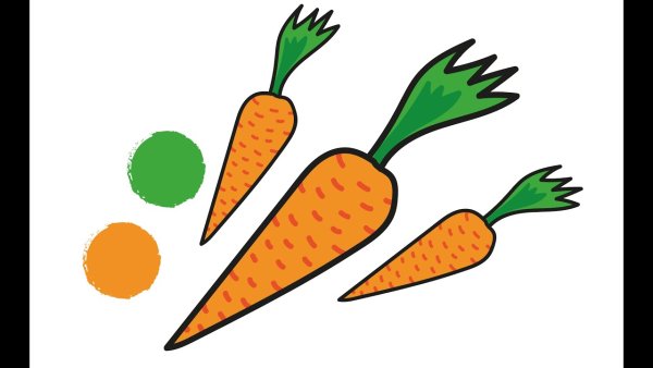 Морковка большая и маленькая картинка для детей