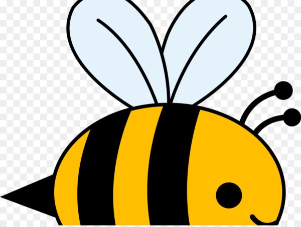 Симметричная Пчелка