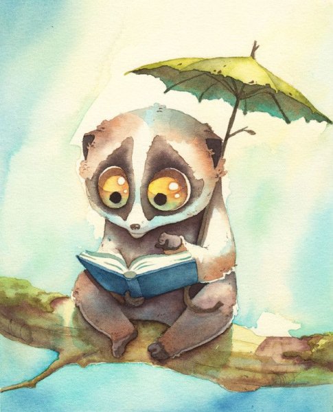 Лемур Лори нарисовать