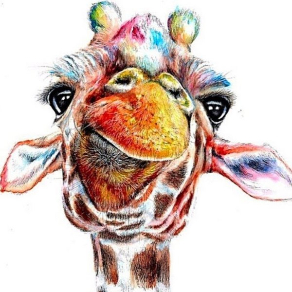 Веселые рисунки животных