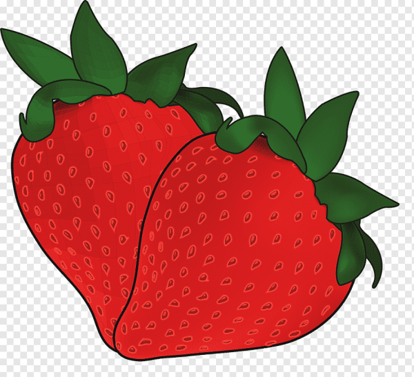 Векторная клубника