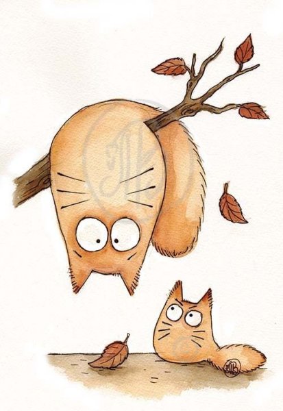 Смешной кот рисунок