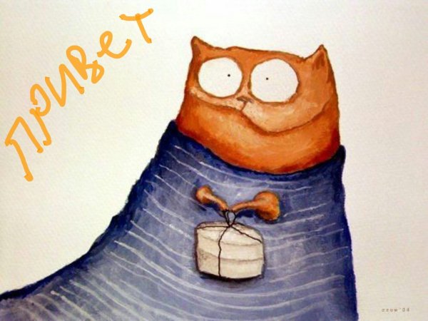 Нарисованный кот в свитере смешной