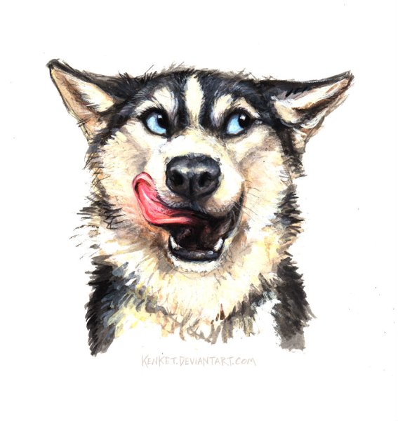 Собака улыбается арт