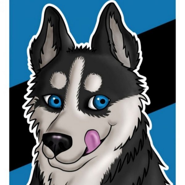 Мультяшная хаски