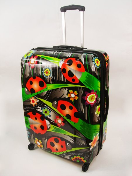 Чемодан для путешествий