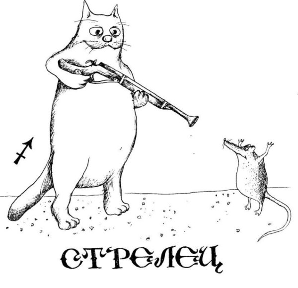 Стрелец знак зодиака смешной