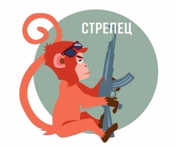 Стрелец знак зодиака смешной