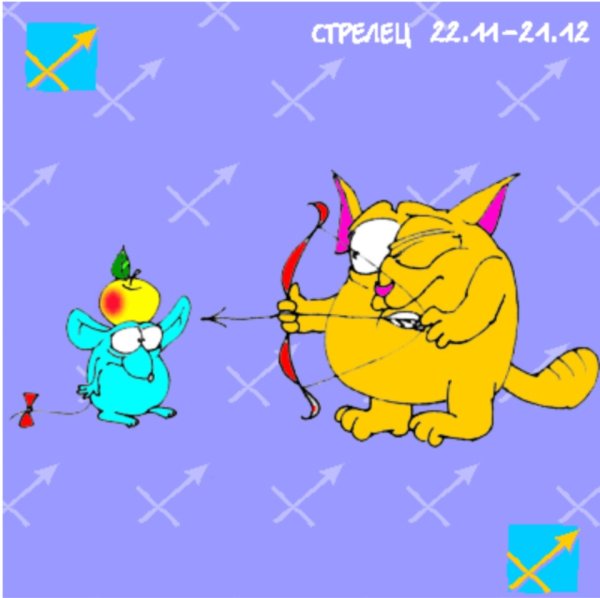 Стрелец смешной гороскоп