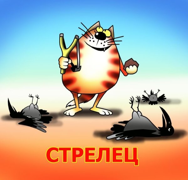 С днем рождения Стрелец