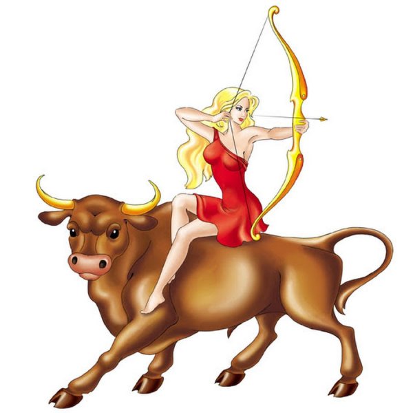 Бык Стрелец