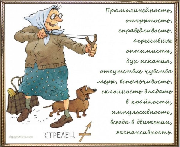 Стрелец смешной гороскоп