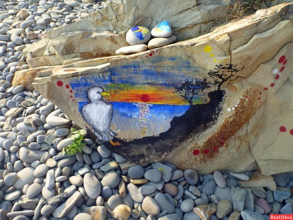 Большой Утриш Сукко и Анапа на карте