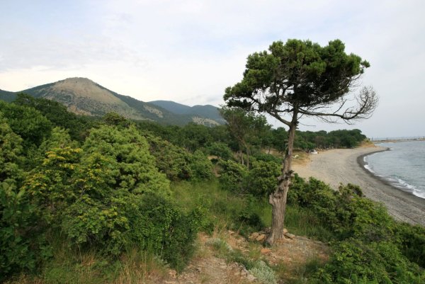 Эмблема Утриша