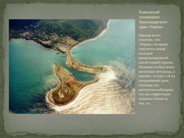 Утриш рисунки