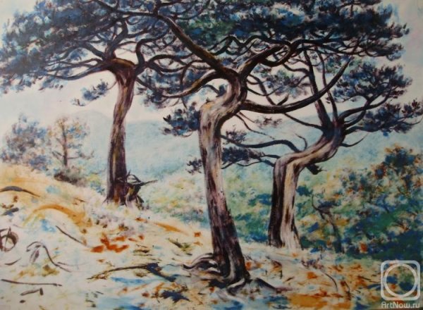 Можжевельник в Крыму нарисовать