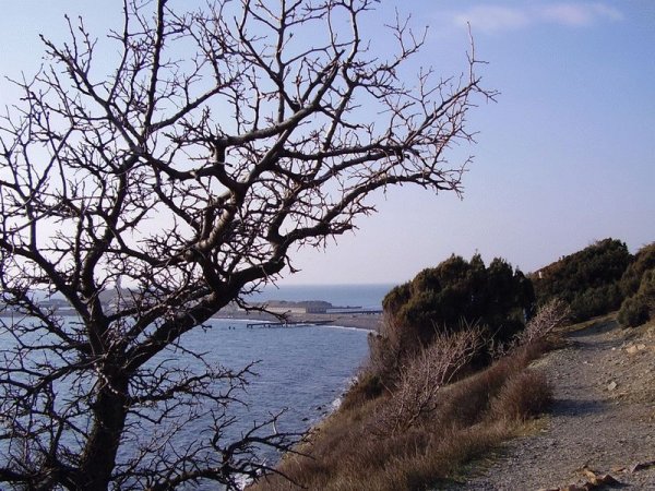 Большой Утриш дикий пляж