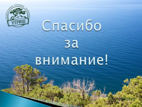 Карта Анапа Сукко Утриш