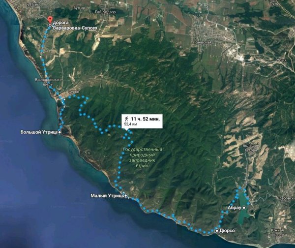 Сосна Крымская Фиолент