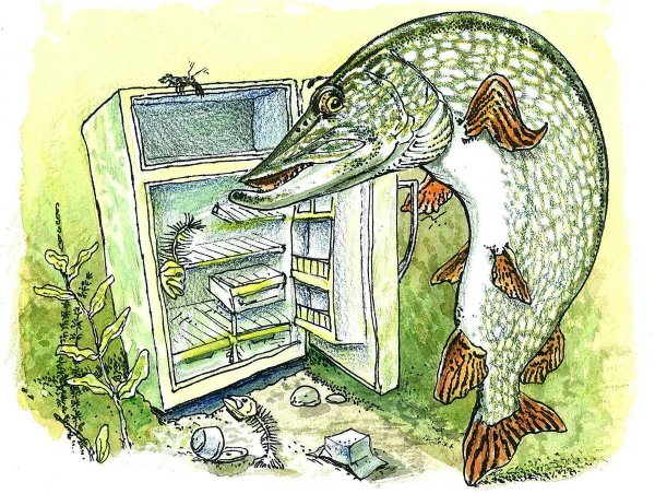 Смешная щука