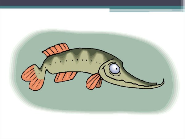 Щука из мультика