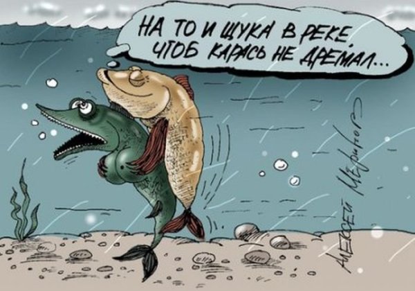 Щука карикатура