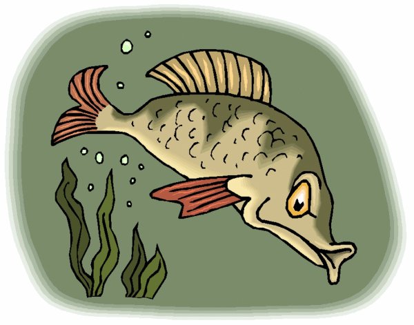 Щука Сказочная