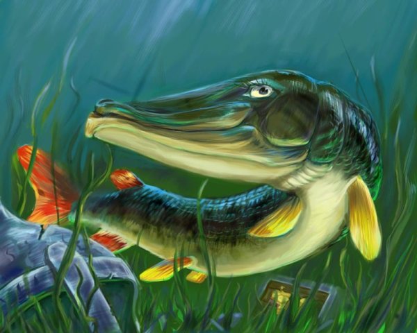 Щука карикатура