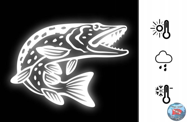 Щука вектор