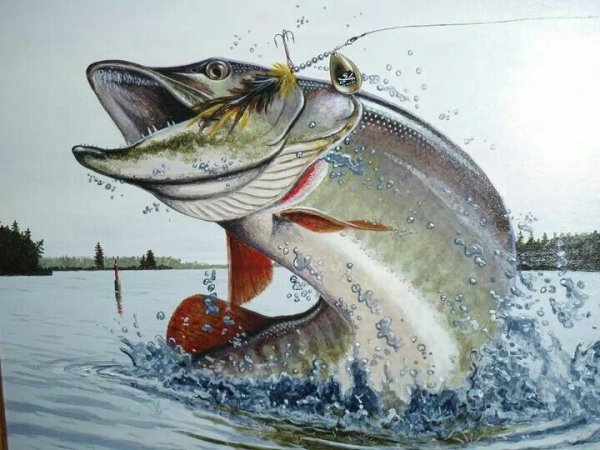 Рыба раскраска