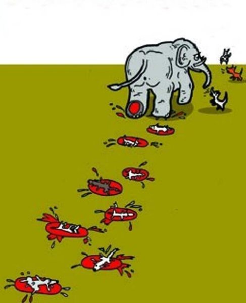 Слон и моська карикатура