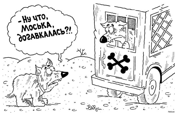 Мал клоп да вонюч