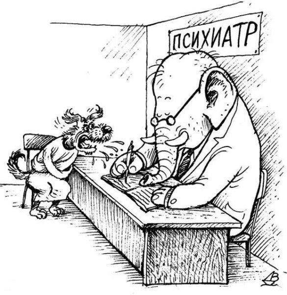 Мультяшные мордашки