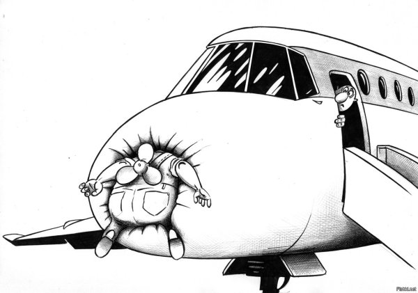 Карикатуры про авиацию