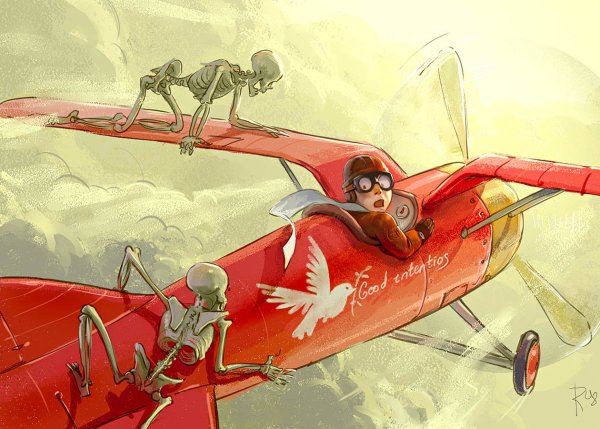 Карикатуры про авиацию