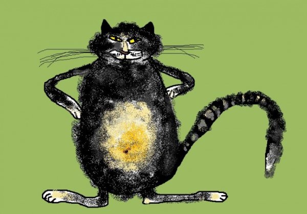 Котяра Графика