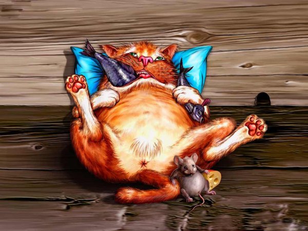 Кот объелся